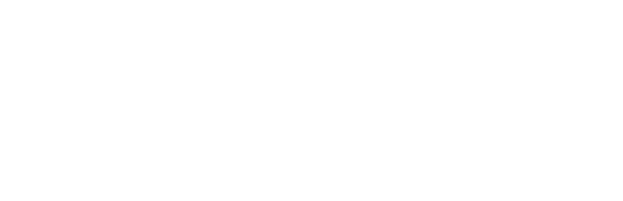 Logo Dusko Branca 2